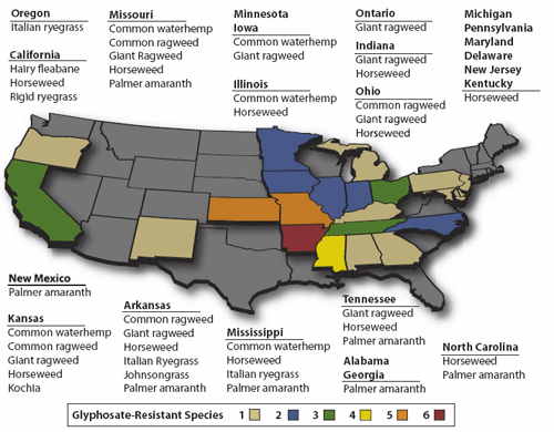 glyphosate resistance