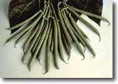 Espada.jpg (4461 bytes)